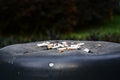 Close up burning cigarette in ashtray on waste bin Royalty Free Stock Photo