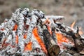 Close up of burning coals in a campfire make by tourists for cooking