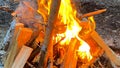 Close-up of burning firewood and logs. A beautiful blazing fire. Yellow-orange flames