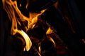 Close up burning logs in fire. Macro shooting of flames. Selective focus tongues of flame. Logs burn in the campfire
