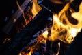 Close up burning logs in fire. Macro shooting of flames. Selective focus tongues of flame. Logs burn in the campfire