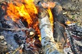 Close-up of burning logs, firewood on fire and ash, burning logs, bonfire Royalty Free Stock Photo