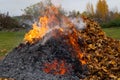 Close-up of a burning pile of fallen dry autumn maple leaves in autumn