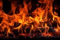 Close-up of burning powerful fire with black coals, burnt wood in flames of fire, dynamic bright background with copy Royalty Free Stock Photo