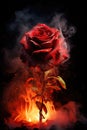 close up of a burning red rose. smoke, ashes, fire, flames, embers, powder, explosion, mist, fog, fantasy, surreal, abstract.