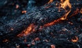 Close-up of a burning tree branch, flames licking at the wood Royalty Free Stock Photo