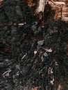 Close-up of Burnt Wood and Ash Inside a Hollow Log Royalty Free Stock Photo
