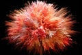 a close-up of a bursting firework shaped like a giant flower