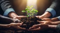 Close up of business people hands holding young plant in soil with sunlight Generative AI Royalty Free Stock Photo