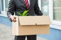 Close-up Of Businessperson Holding Cardboard