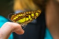 Close Up of Butterfly on a Finger