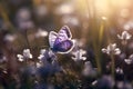Close-up on a butterfly. Generative AI