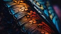 a close up of a butterfly wing with orange and blue colors on it\'s wings and a black background with Royalty Free Stock Photo