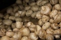 Close-up of button mushrooms in grocery store