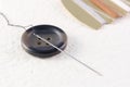 Close up of a button with needle and thread and in the background more thread in different colors Royalty Free Stock Photo