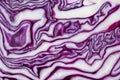 Close up cabbage purple - Shredded red cabbage slice texture background