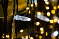 Close up cable of string led lights on tree in the garden at night time used for decorating for beauty According to important Royalty Free Stock Photo