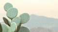 Serene Cactus Against Mountain Background ai generated Royalty Free Stock Photo