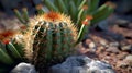 A close up of a cactus surrounded by rocks in a desert landscape. Generative ai Royalty Free Stock Photo