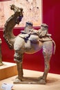 Close-up of camel pottery figurines in ancient China Royalty Free Stock Photo