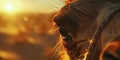 Close-up of a camels face, with its long eyelashes and calm demeanor, set against the backdrop of a shimmering desert