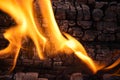 Close-up of camp fire flames and fire. Wood burning Royalty Free Stock Photo