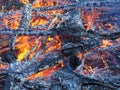 Close-up of a campfire. Big fire