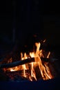 Close-up of a campfire. Fire burning brightly with a big yellow and orange flame in the dark. Firewood and logs burning to ember Royalty Free Stock Photo