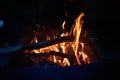 Close-up of a campfire. Fire burning brightly with a big yellow and orange flame in the dark. Firewood and logs burning to ember Royalty Free Stock Photo