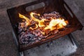 Close up of campfire, fire pit filled with burnt wood, flames. Fire burning, embers glowing Royalty Free Stock Photo