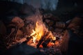 close-up of campfire with flames and sparks crackling in the night