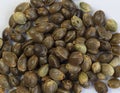 Close up cannabis seeds on white background. hemp seeds for planting agriculture herbal medicine, marijuana seed.Top view