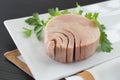 Close-up canned tuna on plate Royalty Free Stock Photo