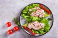 Close up of canned tuna salad with vegetables on lettuce leaves on a plate top view Royalty Free Stock Photo