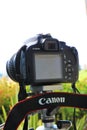 Close up of a Canon digital camera. Royalty Free Stock Photo