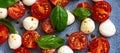 Close-up caprese salad on a blue plate, banner. Cherry tomatoes, basil and mazarella cheese. View from above Royalty Free Stock Photo