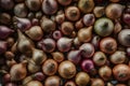 Close up captures abundance of fresh, ripe yellow onions