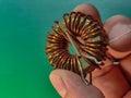 A close-up shot showcases a toroidal inductor held by fingers, detailing the copper winding. Royalty Free Stock Photo