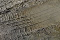 Close up of car tire tracks on a dirt road with watery mud after rain Royalty Free Stock Photo