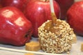 Caramel apple with nuts