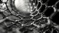 Close-Up of Carbon Nanotube Structure Under Microscope