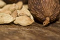 Close-up of cardamom pods Royalty Free Stock Photo