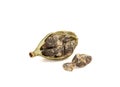 Close-up of cardamom seeds in a pod and on a white background. Royalty Free Stock Photo