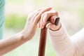 Close-up of caregiver holding hand of a senior person with walki