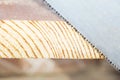 Close-up of a carpenter using a saw to cut a board of wood. Royalty Free Stock Photo