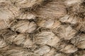 Close up of carpet structure