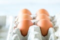 Close up of a carton of eggs Royalty Free Stock Photo