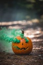 Smoking jack o\' lantern in the forest