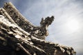 Close-up of carvings on the roof of the pagoda, day, Shanxi Province, China