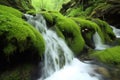close-up of cascading spring waterfalls, with the sound of rushing water audible Royalty Free Stock Photo